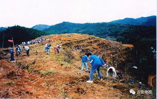 您好,我叫云安 今天22歲