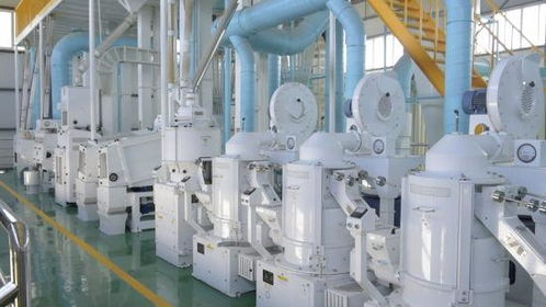 呼倫貝爾鄉(xiāng)村振興落地開花 既有 里子 又有 面子