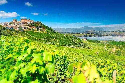 全球度假趨勢(shì)劇透 愈消費(fèi)愈賺錢