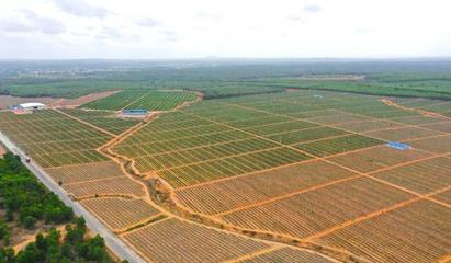 儋州榮獲全國&ldquo;最具農業投資價值縣(區)&rdquo;稱號