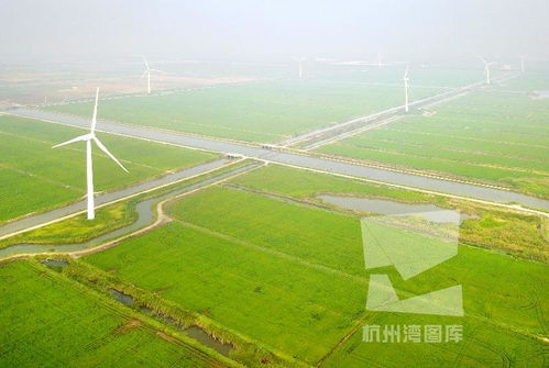 攢足 綠 動力促農業可持續發展