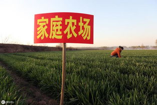 自治區農業農村廳關于印發2019年中央農業生產發展資金 家庭農場 項目實施方案的通知