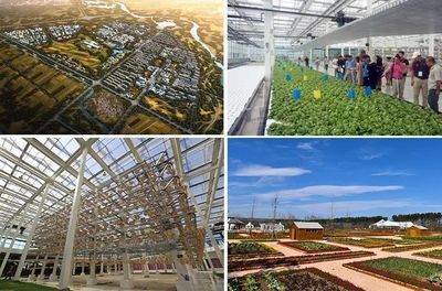 【游學課程】以農業為基礎,如何搭建現代農業,休閑度假,田園社區的農業綜合體開發模式?