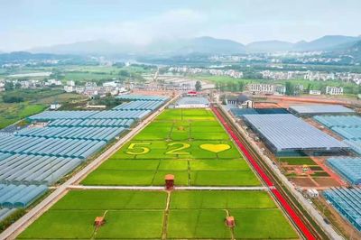 喜報!于都這項成績蟬聯第一!