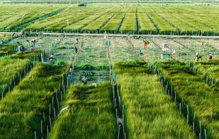 眾裕生態(tài)農(nóng)業(yè) 健康食品的新希望