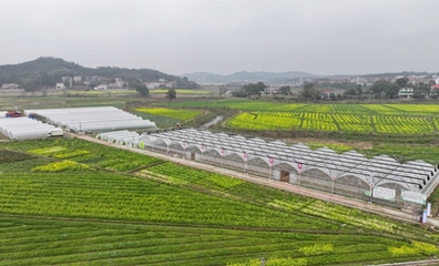 不負春耕好時光 育秧大棚生產(chǎn)忙