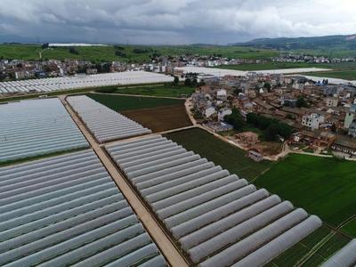 先行示范 亮點紛呈--麒麟?yún)^(qū)統(tǒng)籌推進鄉(xiāng)村振興示范點建設(shè)