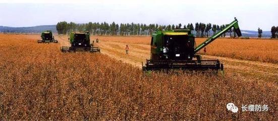 俄當局向中國提供100萬公頃遠東地區(qū)土地用于農(nóng)業(yè)開發(fā)