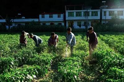 竹溪縣天寶鄉,無限風光在&ldquo;大峽&rdquo;