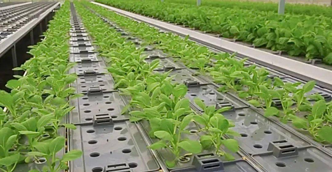 沭陽成功創建節水型社會建設達標縣