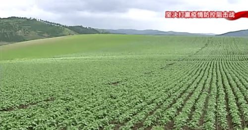 構筑特色農業新優勢，以產業發展促鄉村振興