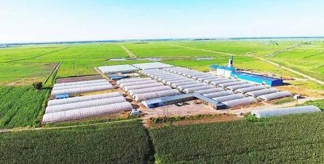 扶余 產業強、農民富，繪就千里沃野新圖景