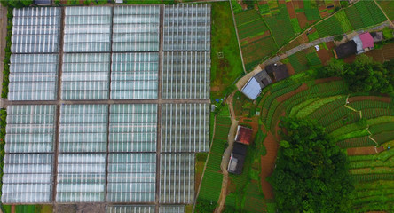 重慶巫溪 技術提升助力馬鈴薯產業發展，推動農業創新開發