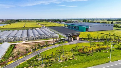 鹽城市農(nóng)業(yè)農(nóng)村局 豐盈四倉(cāng)——江蘇省鄉(xiāng)村振興示范村的農(nóng)業(yè)開(kāi)發(fā)實(shí)踐