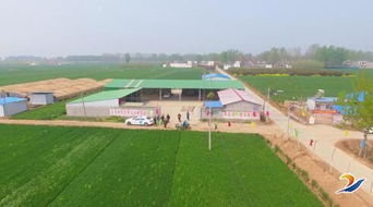 發(fā)展新型農(nóng)業(yè)，帶動(dòng)村民致富——農(nóng)業(yè)開(kāi)發(fā)的新路徑