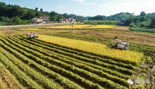 農(nóng)業(yè)強(qiáng) 農(nóng)村美 農(nóng)民富 這樣的鄉(xiāng)村你愛(ài)了嗎