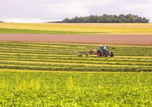 農(nóng)業(yè)部發(fā)文推進(jìn)農(nóng)業(yè)開(kāi)發(fā)，五大領(lǐng)域?qū)@政策紅利