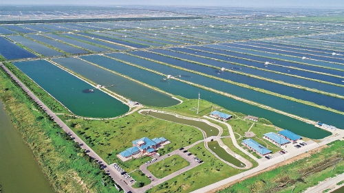 智慧農業浪潮下，農墾如何走在前列，引領農業開發新篇章