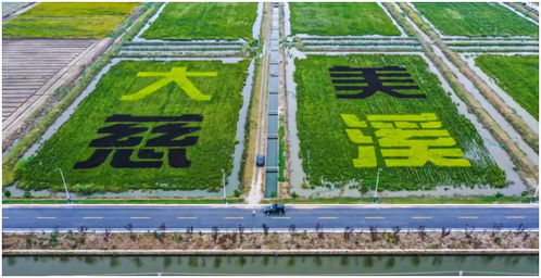鹽堿地崛起未來之城 現代農業開發區開啟產城融合新階段